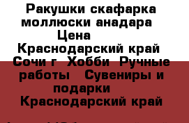 Ракушки скафарка моллюски анадара › Цена ­ 60 - Краснодарский край, Сочи г. Хобби. Ручные работы » Сувениры и подарки   . Краснодарский край